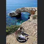 Villa Nissi Beach 28
